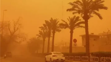 تحذير الأرصاد.. 3 ظواهر جوية تضرب المحافظات المصرية خلال الساعات المقبلة